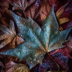 Meet your Posher, Efrain